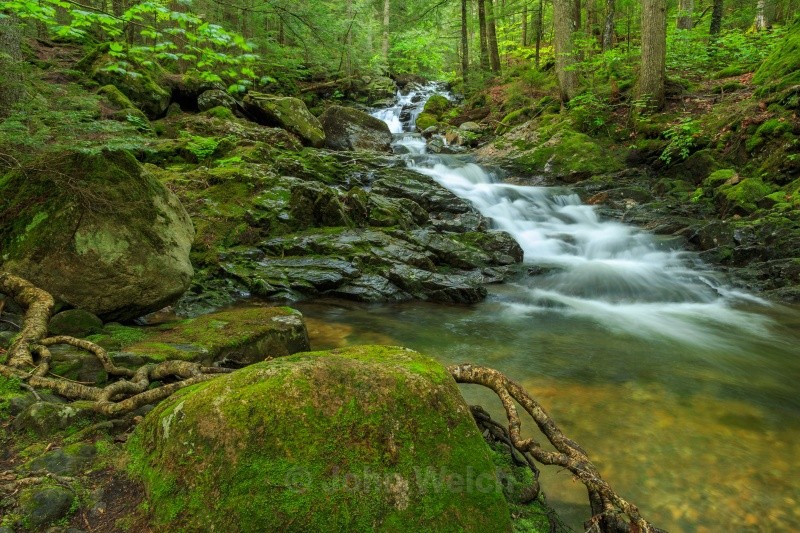 Gordon Falls - White Mountain National Forest and Northern New Hampshire
