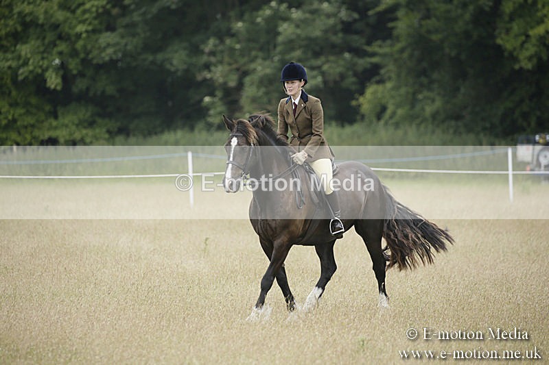 B230619-0082 - Bourne Valley Riding Club Summer Show 23/06/19