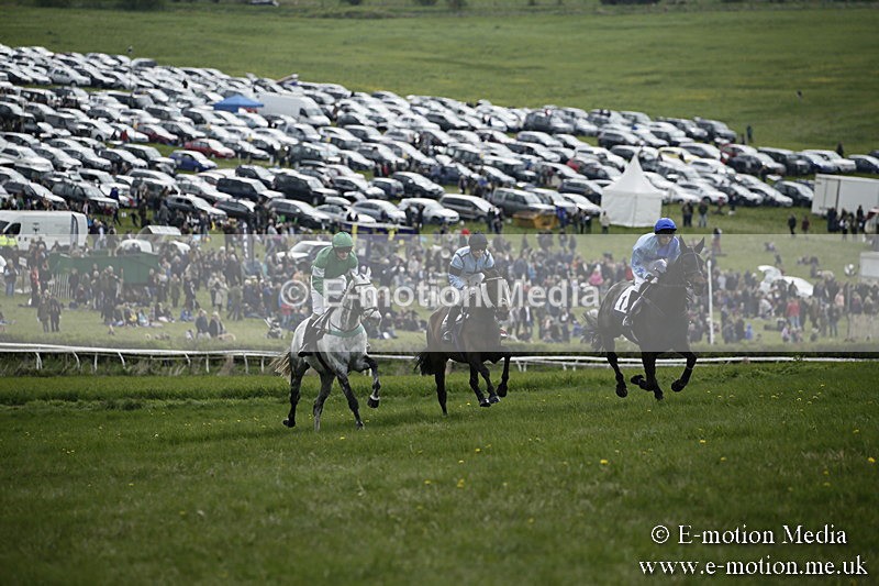 PtP 170417 66 - Old Berks Point-to-Point Lockinge 17/04/17