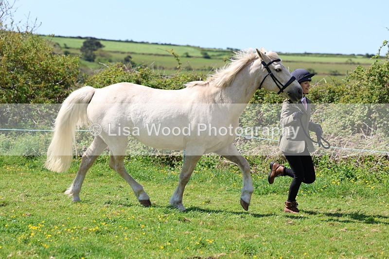 3E7A0234 - Class 19: Best Coloured in Hand