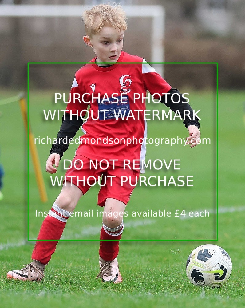 533A0799 - Ibis Under 7's (28/2/26)