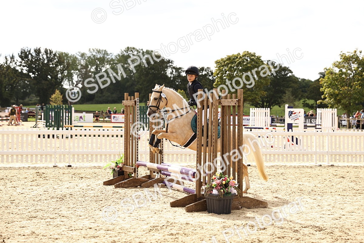 SBM_63951 - J12 - Junior Pony 55cm Championship