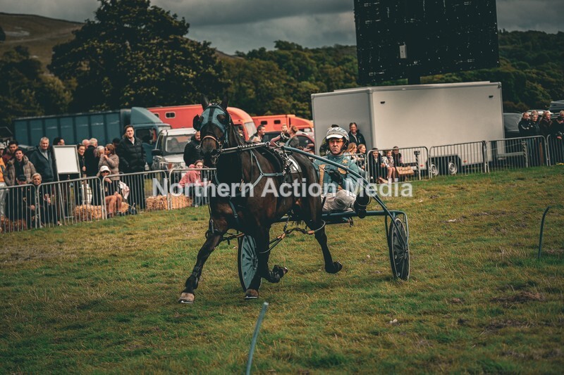 DSCF7431 - Kilnsey Harness racing