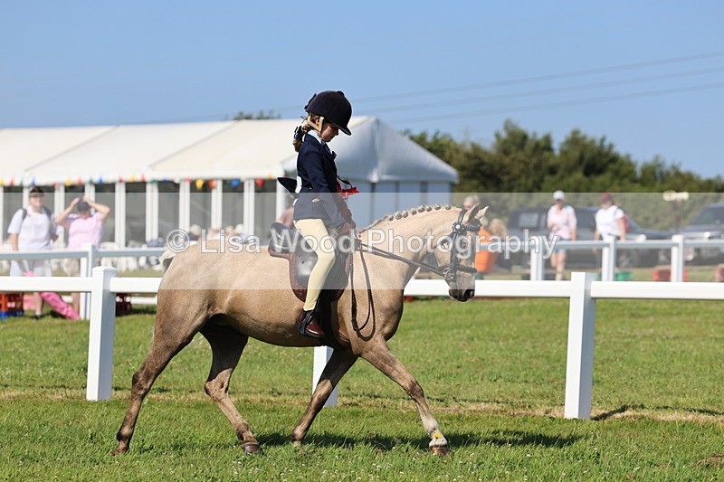 IMG_1833 - Plaited Mini Ridden Championship