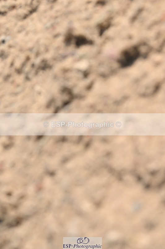 240509A-111441-01086 - Cls 9 Snr 1.20m Open