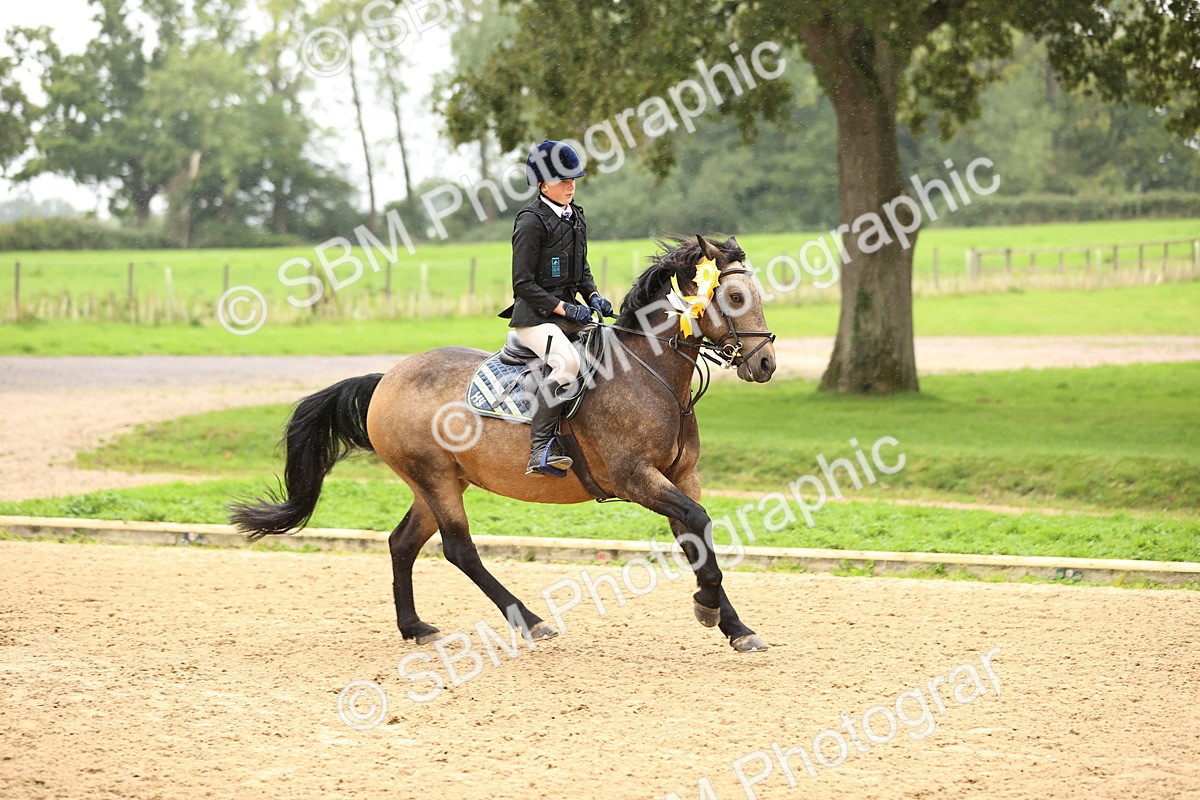 SBM_69059 - J18 - Junior Pony 85cm championship