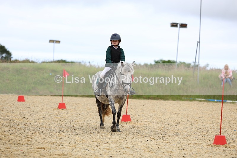 3E7A9541 - Walk trot run