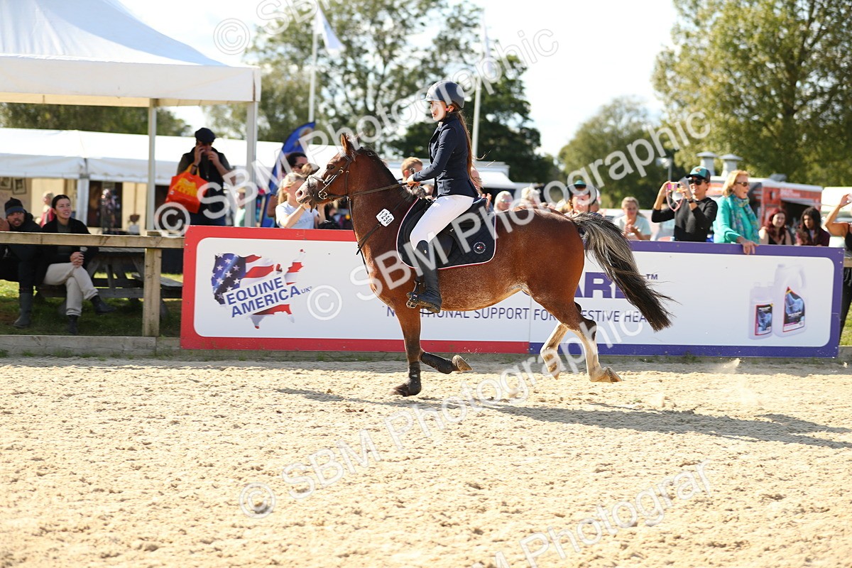 SBM_24415 - J45 - Accumulator 70 80cm