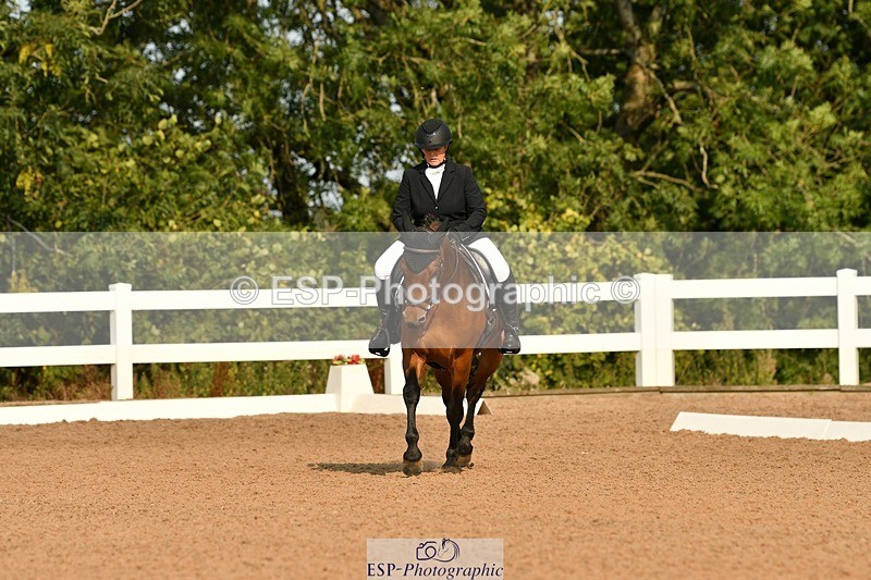 250817-093002-06944 - 049-Carolyn.GaleNewtown.Ringo