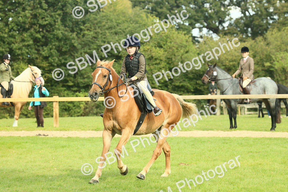 SBM_62500 - S62 - Foreign Breeds Ridden