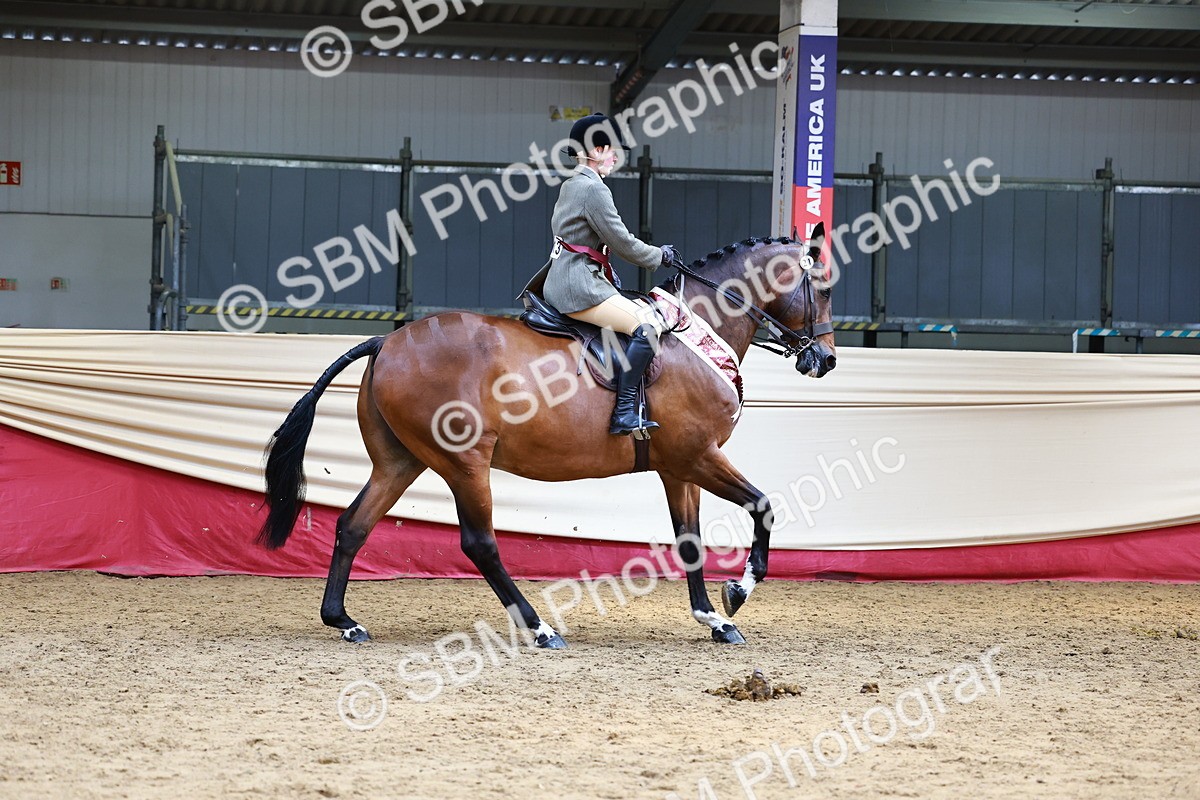 SBM_23211 - Class 905 - Supreme Final - Ridden Veteran