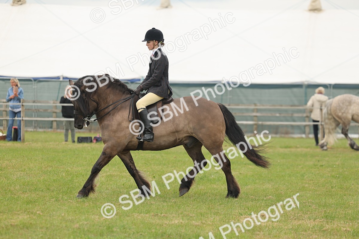 SBM_08965 - Class 78-80 - Ridden M&M Non Welsh Ponies