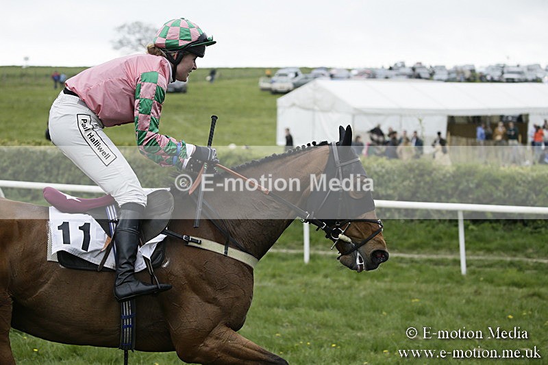 PtP 170417 579 - Old Berks Point-to-Point Lockinge 17/04/17