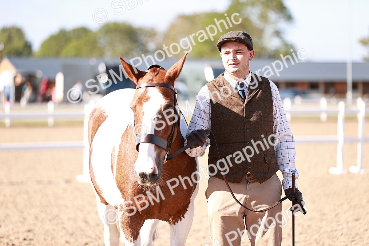 SBM_22079 - Class 703 - IH Coloured