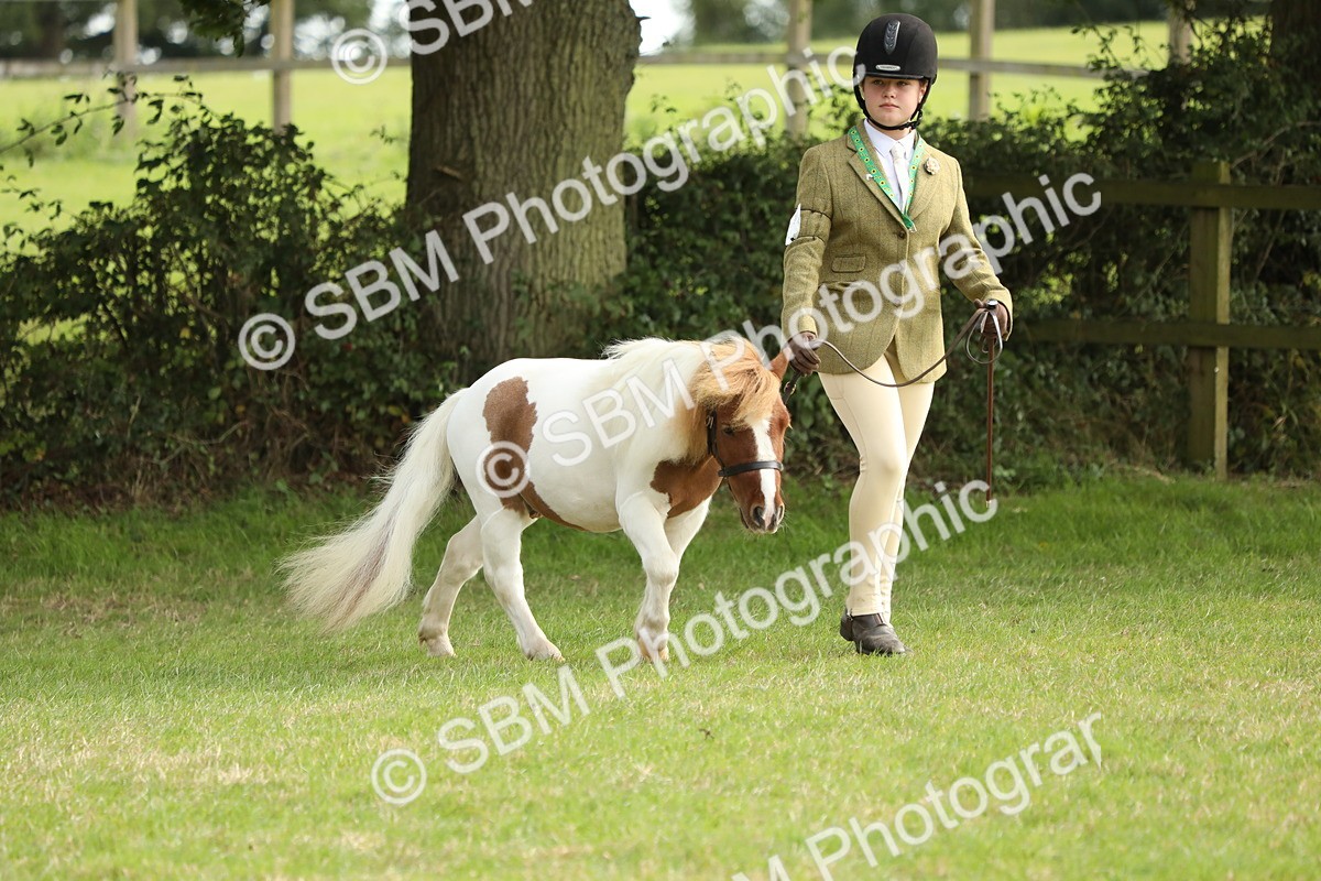 SBM_68526 - S40 - Junior Handler 9-12 Years