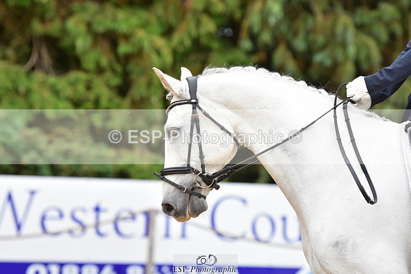 250719A-153450-06891 - 024-Neve.Moran-Clareville.Golden.Knight