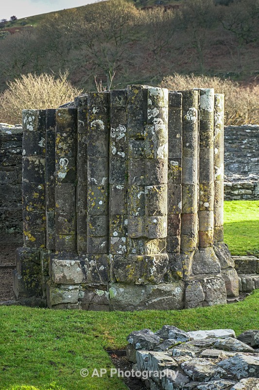 ACP02022-1 - Strata Florida Abbey
