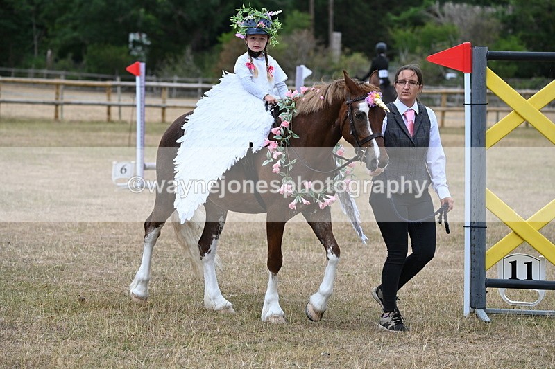 WJ6_8614 - Class 11 Fancy Dress