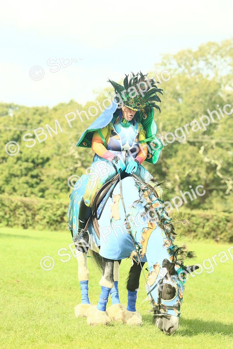 SBM_63511 - S35 - Fancy Dress Showing