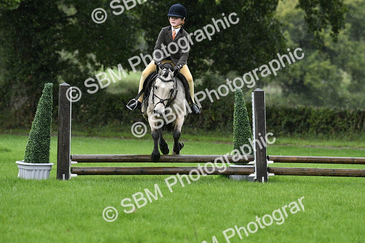 SBM_35512 - S30 - Nursery Stakes Working Hunter Pony