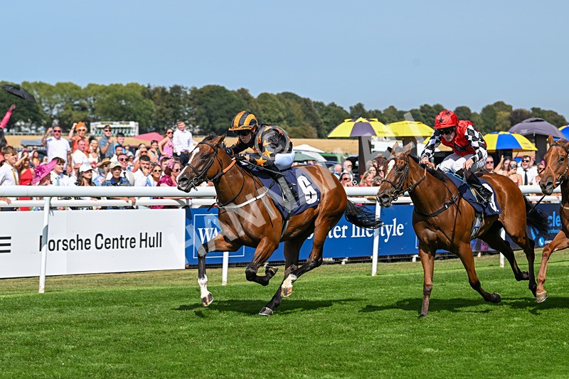 130825-Race 2-Brimfulofattitude-7150 - Race 2