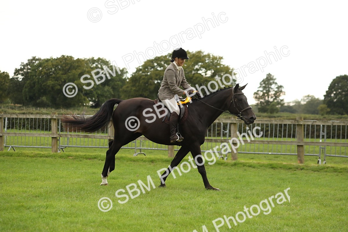 SBM_73893 - S41 - Ridden Equitation (Best Rider)