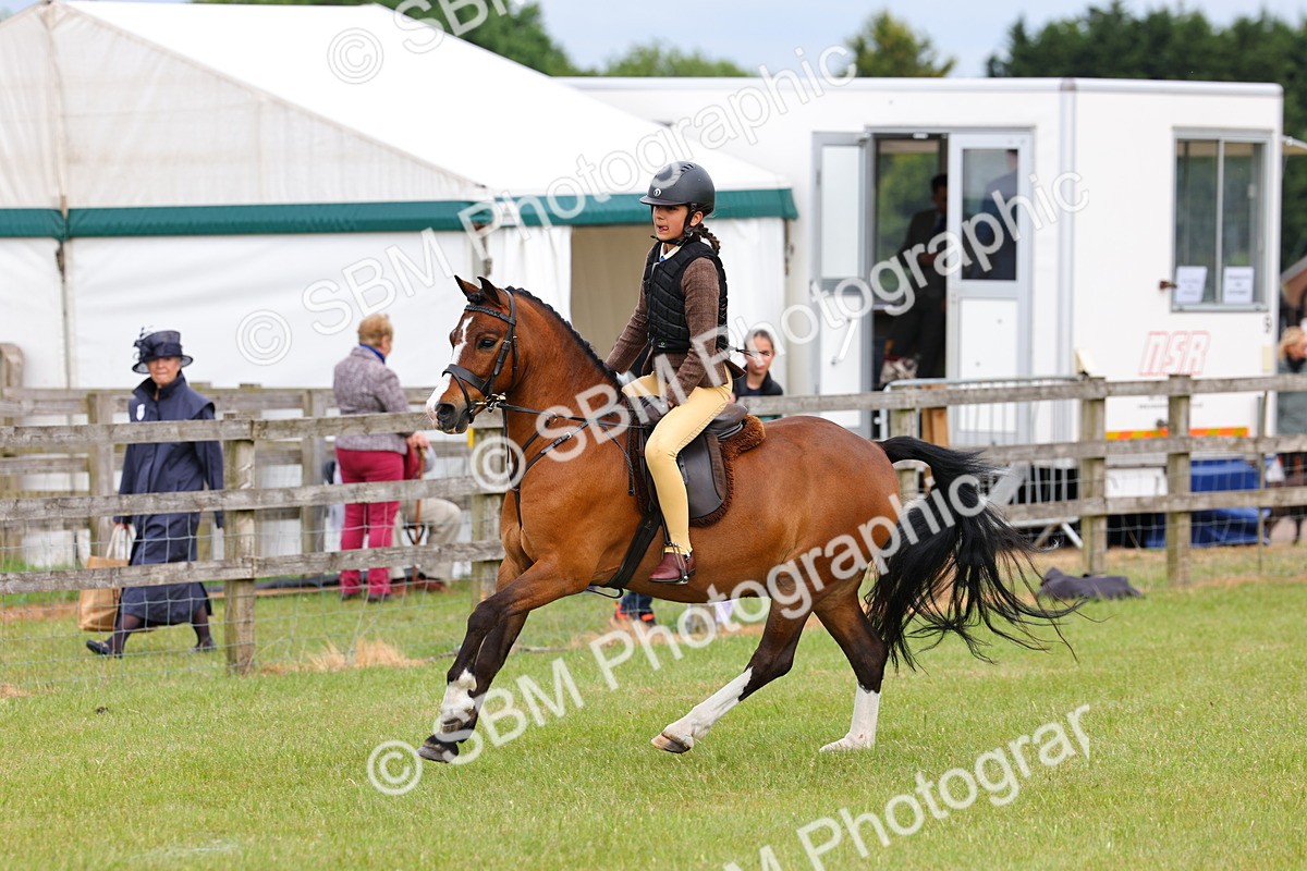 SBM_09551 - Class 44-45 - LIHS BSPS Open Nursery and Cradle Stakes