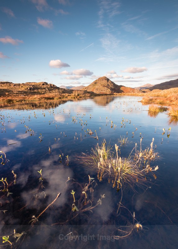 Stickle Pike - Distant Hills