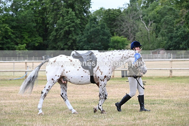 WJ6_4081 - Class 9 Tack & Turnout