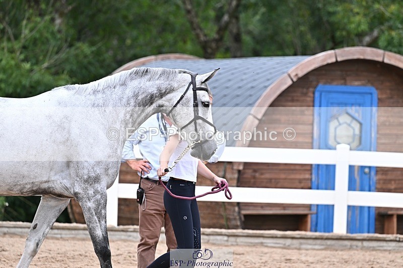 250716-133810-00604 - Trot Up 1.30 to 2.30