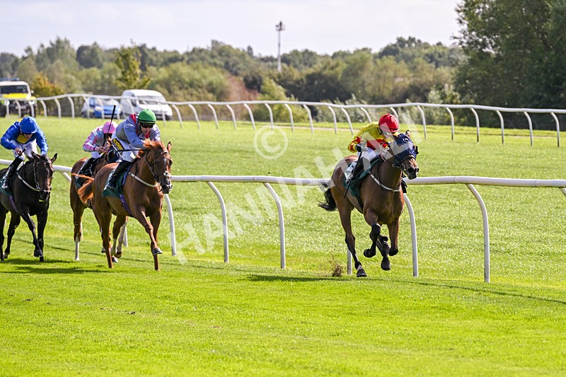 080926-Race 1-Cheeky Chesca-1544 - Race 1 1.53pm Racing To School Nursery Handicap
