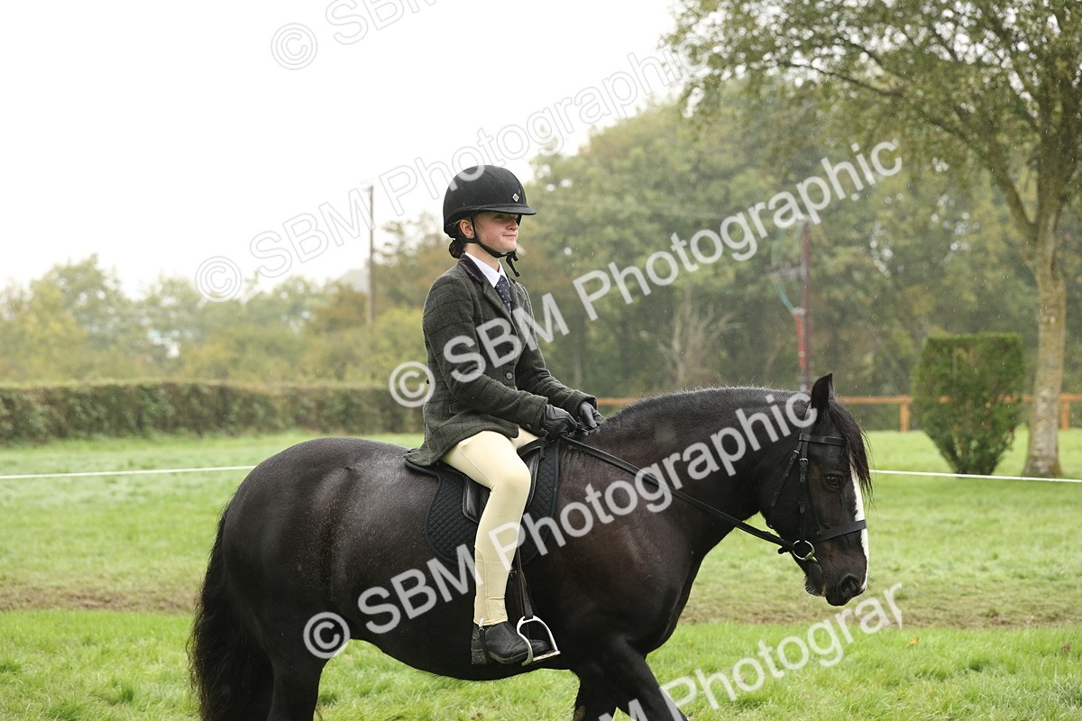 SBM_72652 - S70 - Traditional Cob Ridden