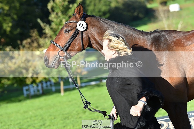 231022-102404-22456 - 478-SOARING.HEIGHTS-Samantha.Shaw-TrotUp+SJ