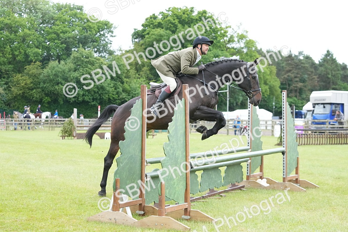 SBM_12542 - Class 97-98 - LIHS BSHA Rising Star Working Show Horse Hunter