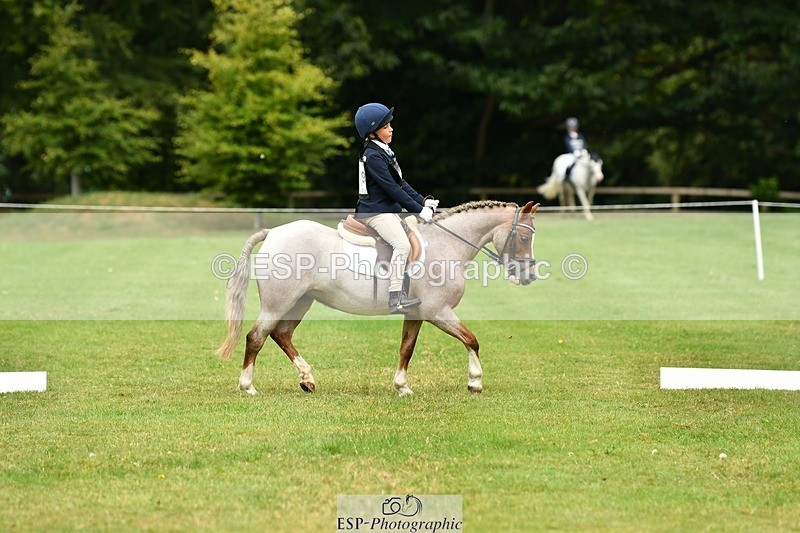 250820A-112033-05015 - 11am to 12