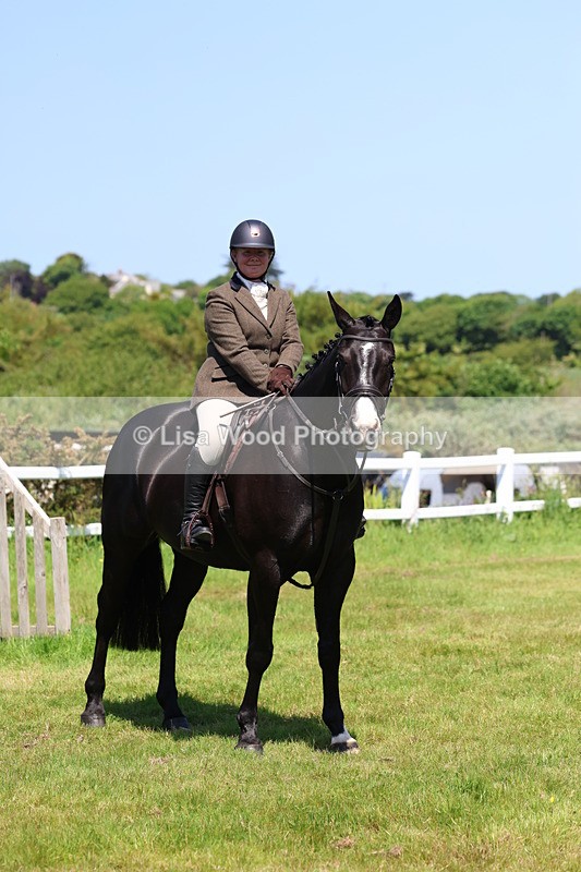 3E7A7348 - Class 30: Novice Working Hunter