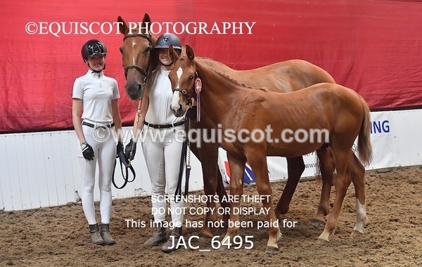 JAC_6495 - 19 Luca