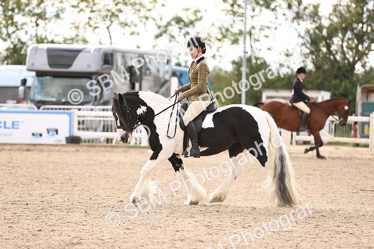 SBM_18188 - Class 423 - Equitation (best rider) Adult