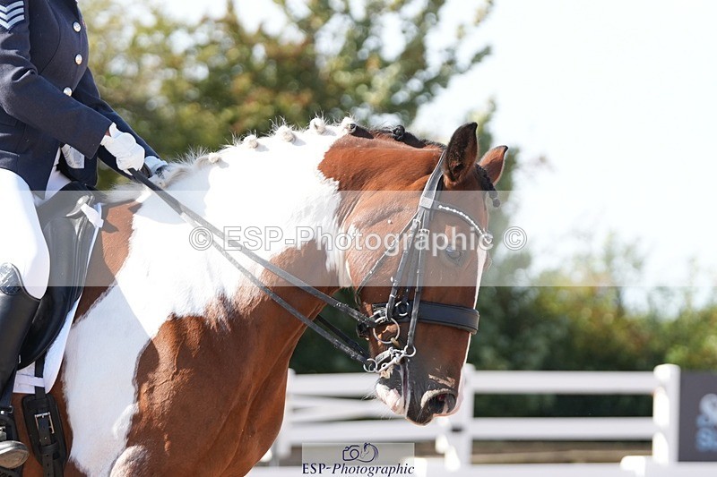 250906-151906-04719 - 112-Mel.DayDolderwydd.lucky.Maisie