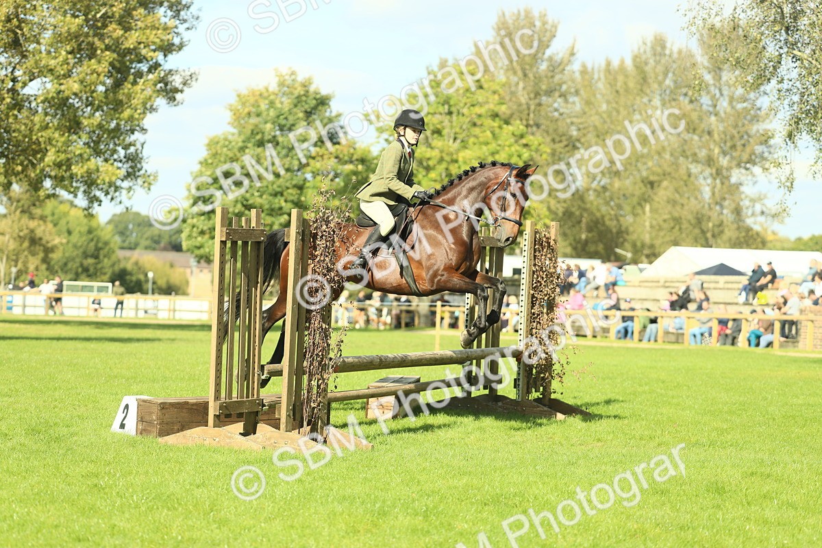SBM_48084 - S32 - Novice & Newcomers Working Hunter