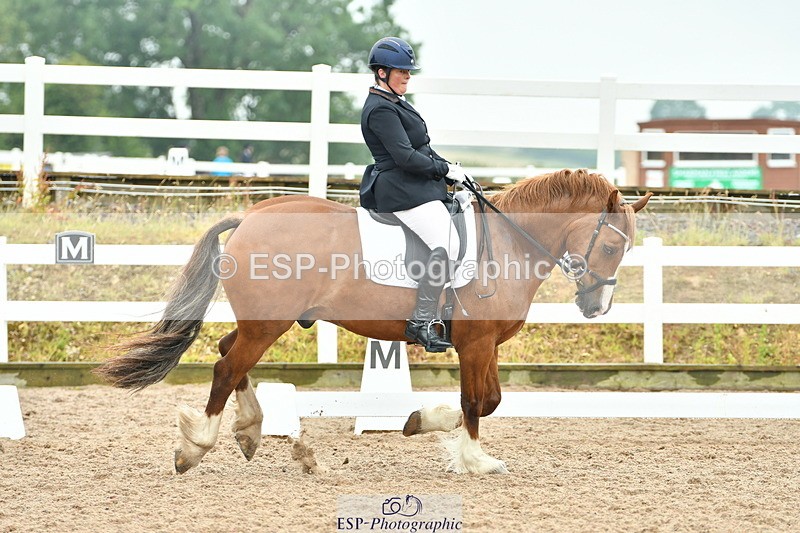 230708A-135354-02860 - Elementary 43