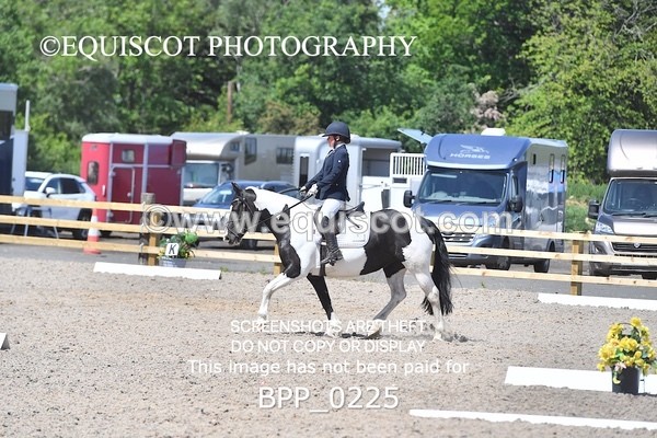 BPP_0225 - SHORT ARENA  MY QUEST PRELIM
