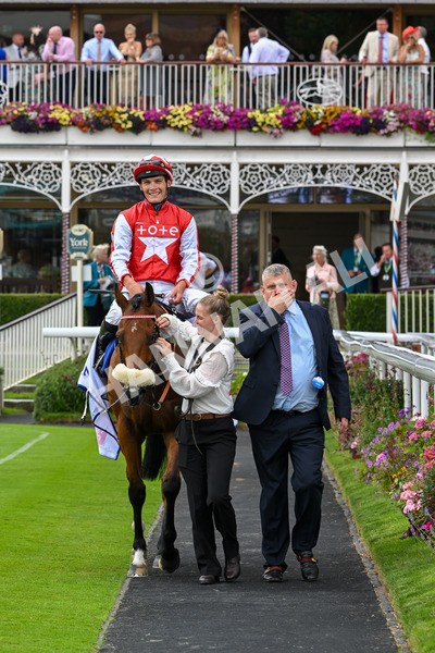 270724-Race 1-Night On Earth-6727 - Race 1 2.05pm Sky Bet 'Jump Jockeys' Nunthorpe' Handicap