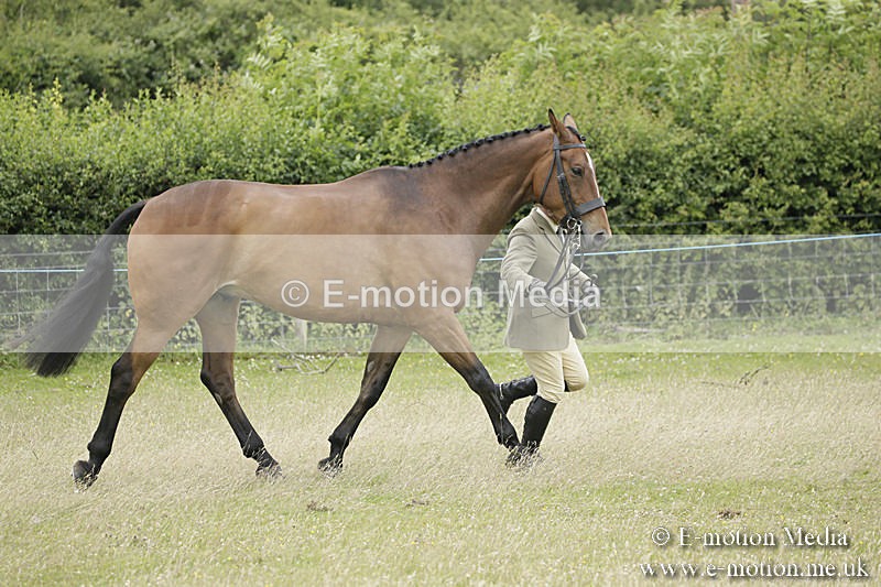 B230619-0827 - Bourne Valley Riding Club Summer Show 23/06/19