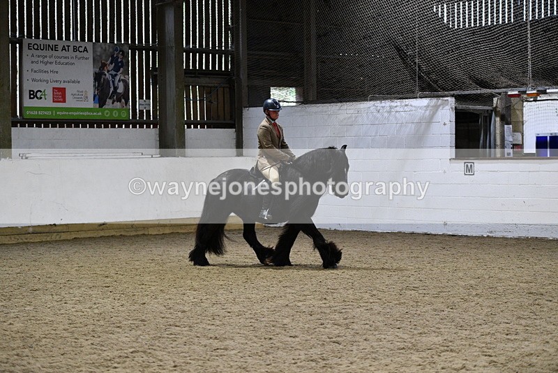 WJ5_8625 - Class 14 Novice Ridden/Rider