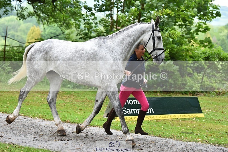 240522-162834-00945 - 208-KING_LOUIS-Mary_King