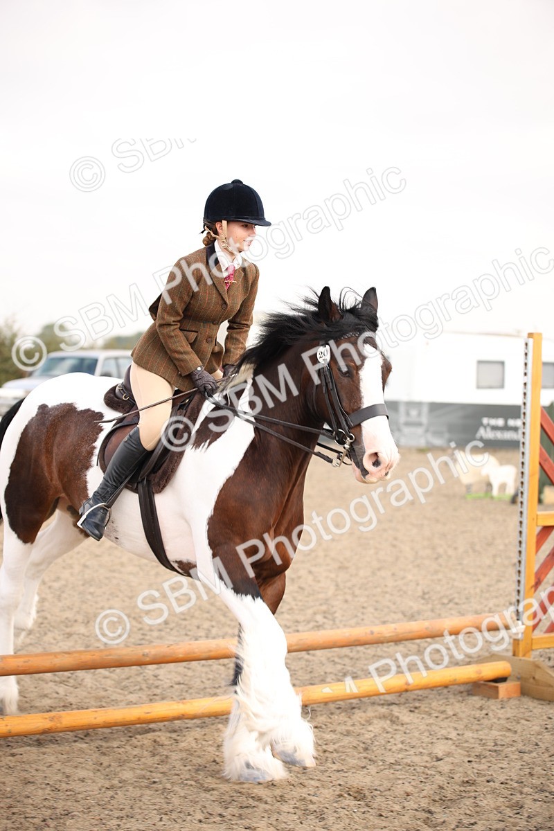 SBM_11676 - Class 404b Junior Working Veteran- 40cm(20+)