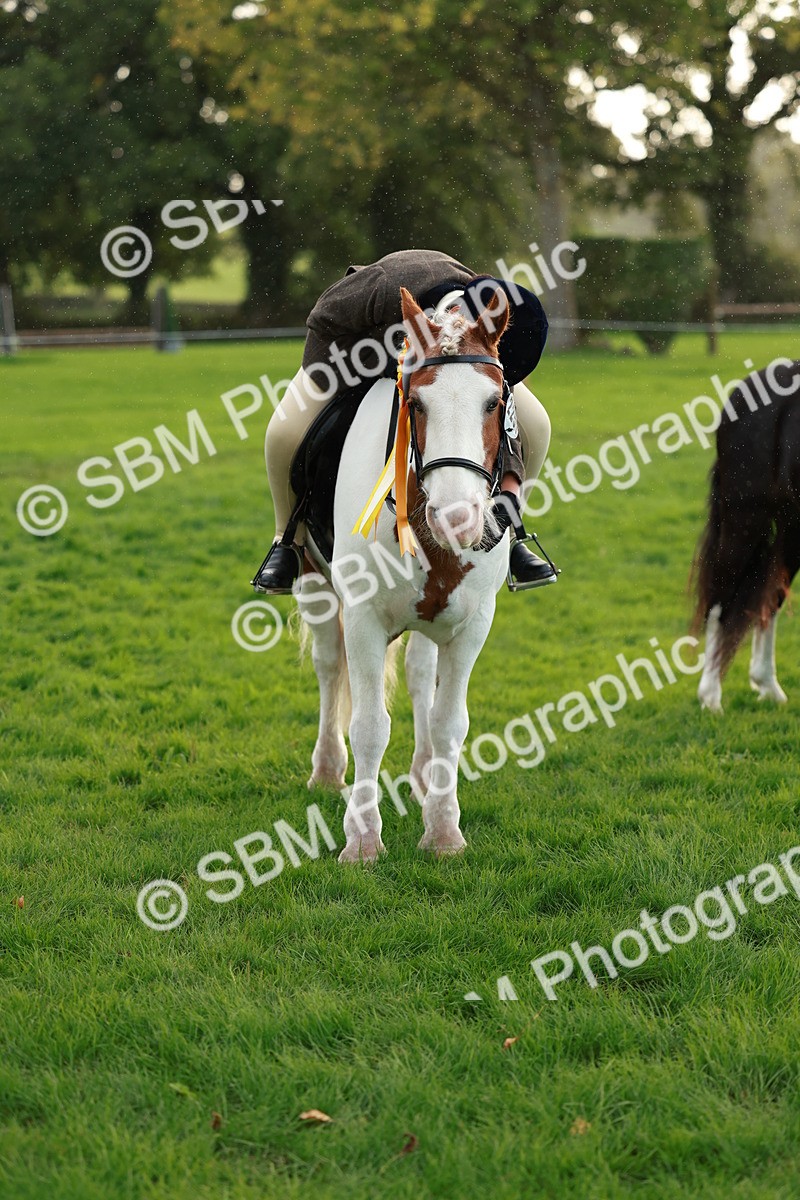 SBM_28903 - S7 - Novice & Newcomer Ridden Pony