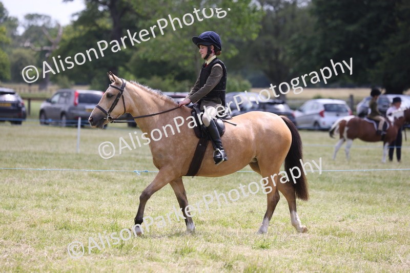 20260614-2115 - Class 21 - Novice Working Hunter Pony