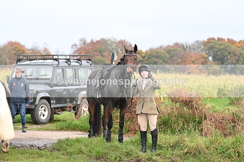 WJ7_0527 - Camera 1 & Last fence